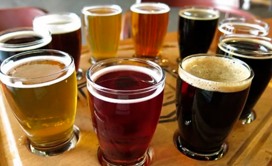 Variedad de cervezas artesanales y clásicas servidas en vasos.